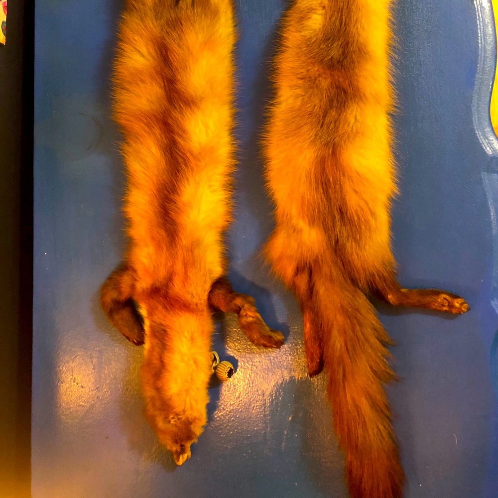 Stone Marten Fur Stole